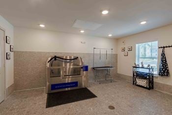 Pet washing station